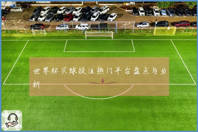 世界杯买球投注热门平台盘点与分析