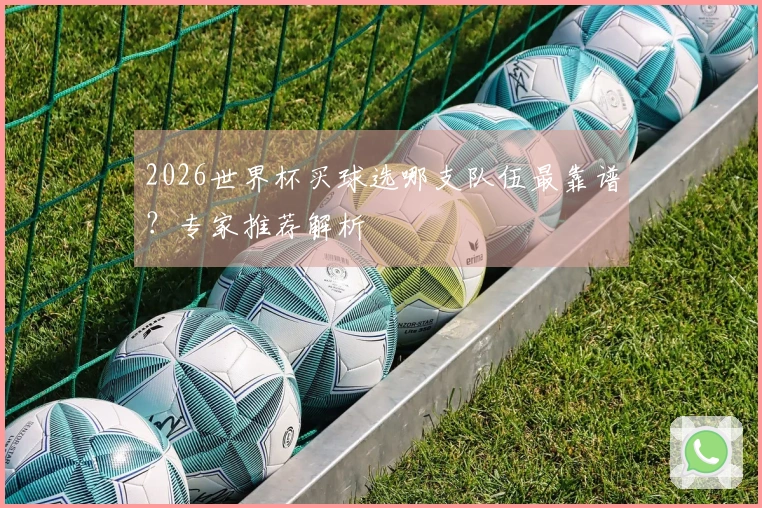 2026世界杯买球选哪支队伍最靠谱？专家推荐解析