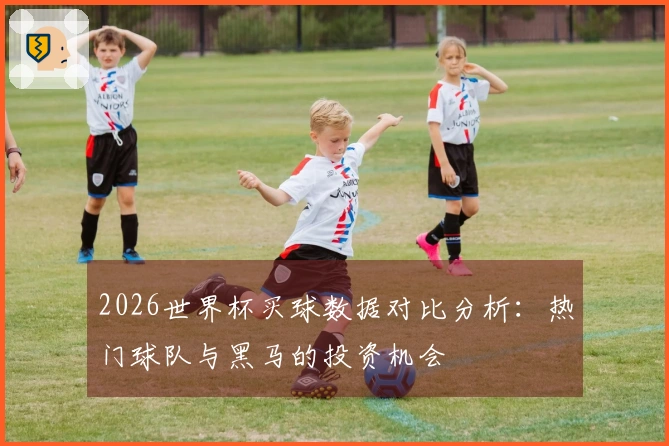 2026世界杯买球数据对比分析：热门球队与黑马的投资机会