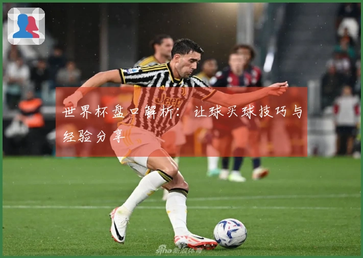 世界杯盘口解析：让球买球技巧与经验分享