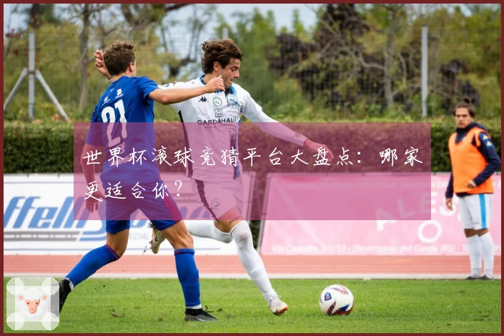 世界杯滚球竞猜平台大盘点：哪家更适合你？