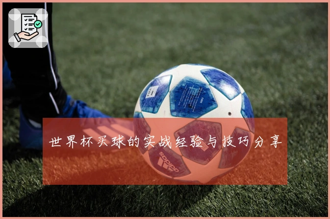 世界杯买球的实战经验与技巧分享